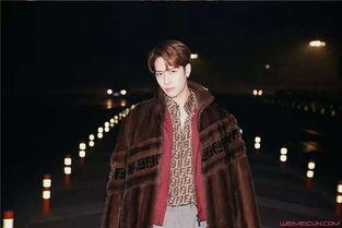 阿飞爆料王嘉尔视频,事件背后真相揭秘  第1张