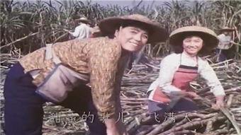 电影甜蜜的事业在线观看,浪漫喜剧的甜蜜邂逅  第2张